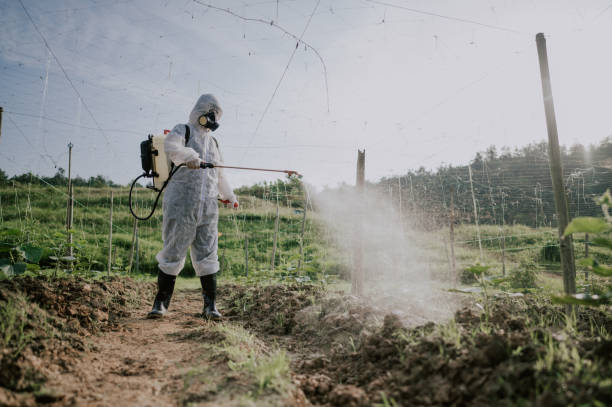 Best Pest Control Treatment  in New Eagle, PA