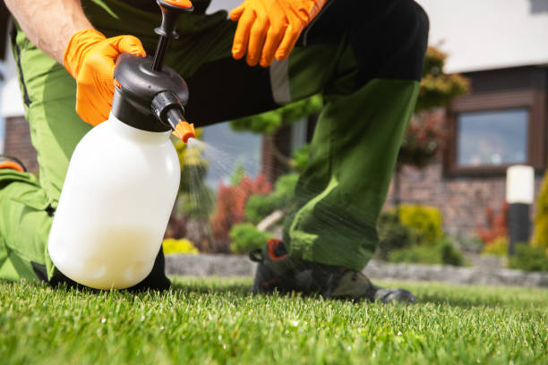 Pest Prevention Services in New Eagle, PA