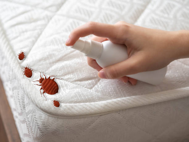 Best Exterminator Services  in New Eagle, PA