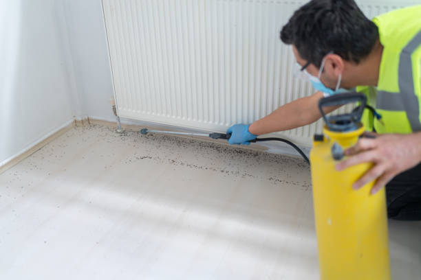 Best Bed Bug Extermination  in New Eagle, PA