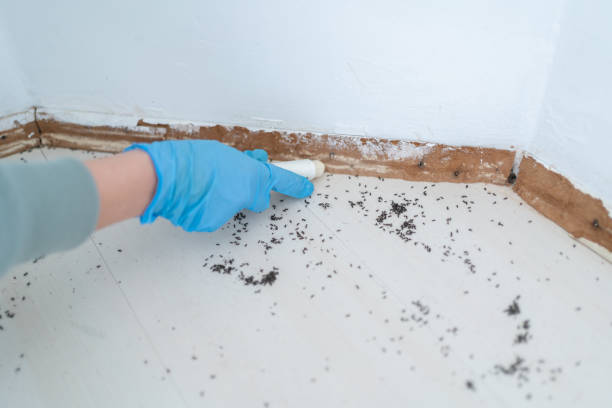 Best Best Pest Control Companies  in New Eagle, PA